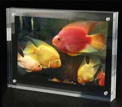 4R Acrylic Frame